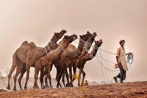 Pushkar Mela image