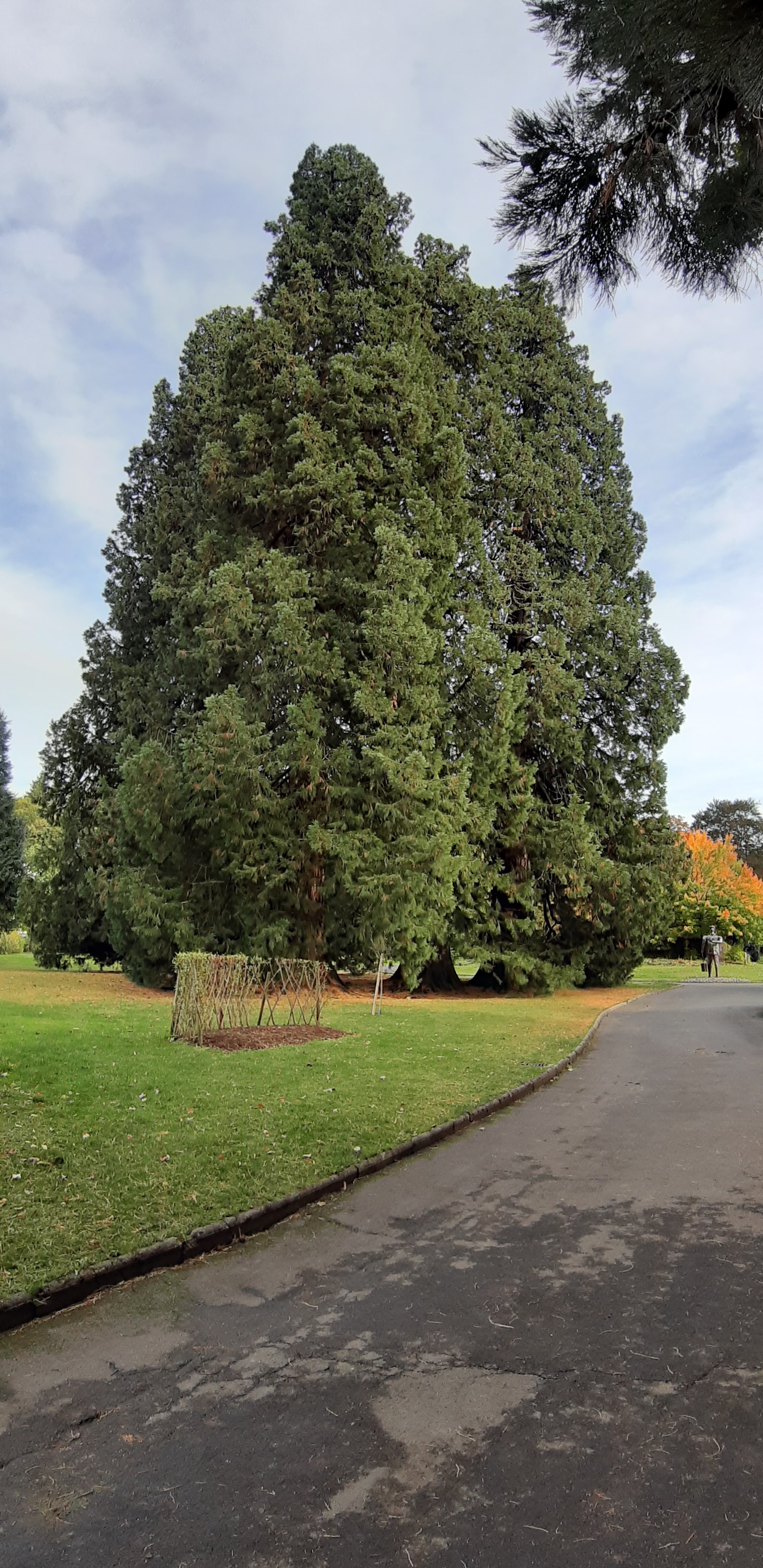 Photo n° 1 de l'avis de stéphanie.o fait le 16/10/2019 à 15:50