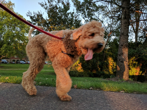 Park «Bass Lake Park», reviews and photos, 3450 Glenhurst Ave, Minneapolis, MN 55416, USA