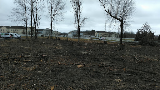 Hardware Store «New Albany Ace Hardware», reviews and photos, 5595 New Albany Rd W, New Albany, OH 43054, USA