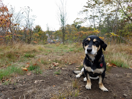 Park «Mack Park», reviews and photos, 31 Grove St, Salem, MA 01970, USA