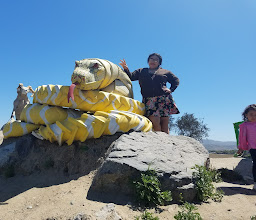 Caracol Centro Científico Y Cultural, A.C. photo