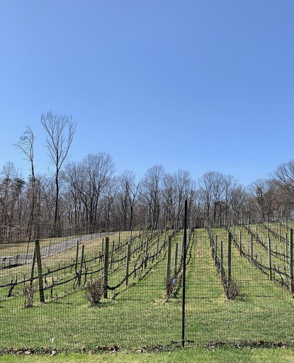 Winery «Paradise Springs Winery», reviews and photos, 13219 Yates Ford Rd, Clifton, VA 20124, USA