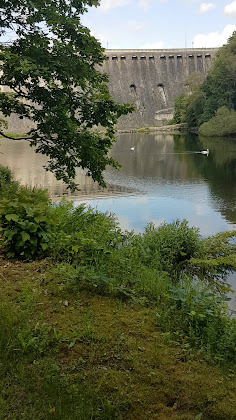 Vidéos Cottage Ferienholzhaus Edersee 34549 Edertal