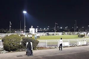 Abu Dhabi Equestrian Club image