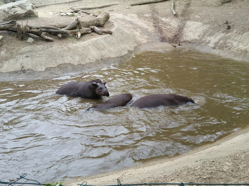 Zoo Graz