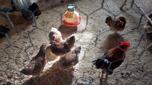 Historical Place «Marsh-Billings-Rockefeller National Historical Park», reviews and photos, 54 Elm St, Woodstock, VT 05091, USA