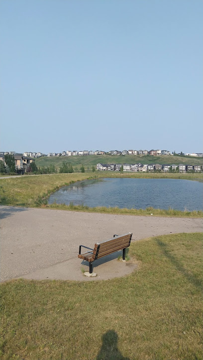 Kosar Storm Pond