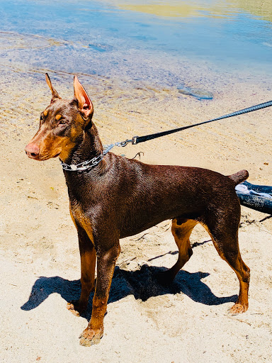 5498 Mission Boulevard, Riverside, CA 92509, USA