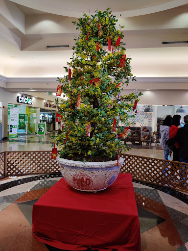 Shopping Mall «Grand Century Shopping Mall», reviews and photos, 1111 Story Rd, San Jose, CA 95122, USA