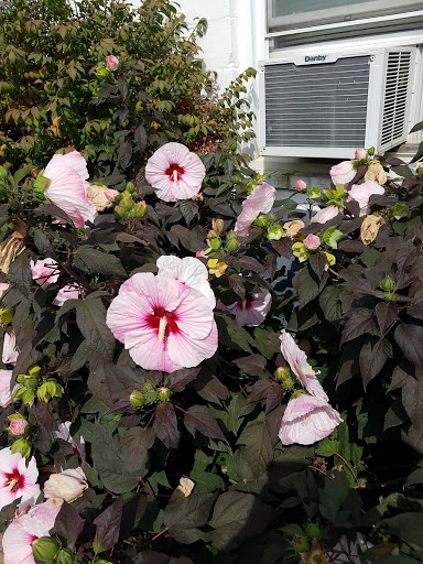 Auto Repair Shop «Town and Country Auto Repair», reviews and photos, 4105 Ten Oaks Rd, Dayton, MD 21036, USA