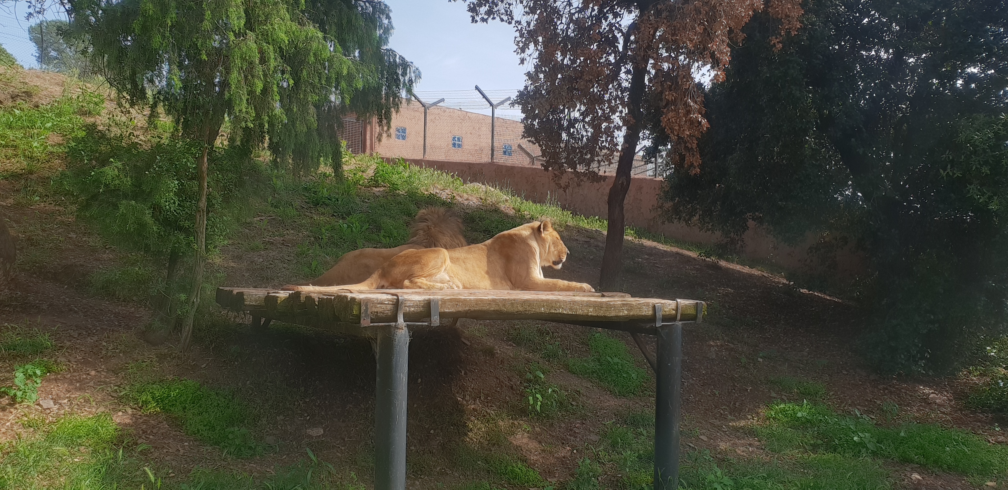 Photo n° 13 de l'avis de Anthony. fait le 11/06/2018 à 14:44