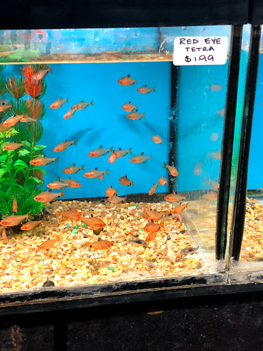 Pet Supply Store «Monster Pets», reviews and photos, 130 Black Horse Pike # 502, Audubon, NJ 08106, USA