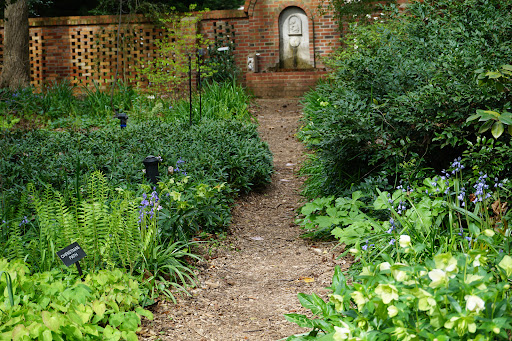 Garden «Wing Haven», reviews and photos, 248 Ridgewood Ave, Charlotte, NC 28209, USA