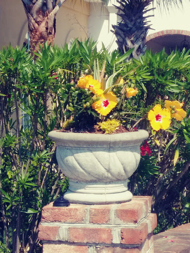 Campground «Pirateland Family Camping Resort», reviews and photos, 5401 S Kings Hwy, Myrtle Beach, SC 29575, USA