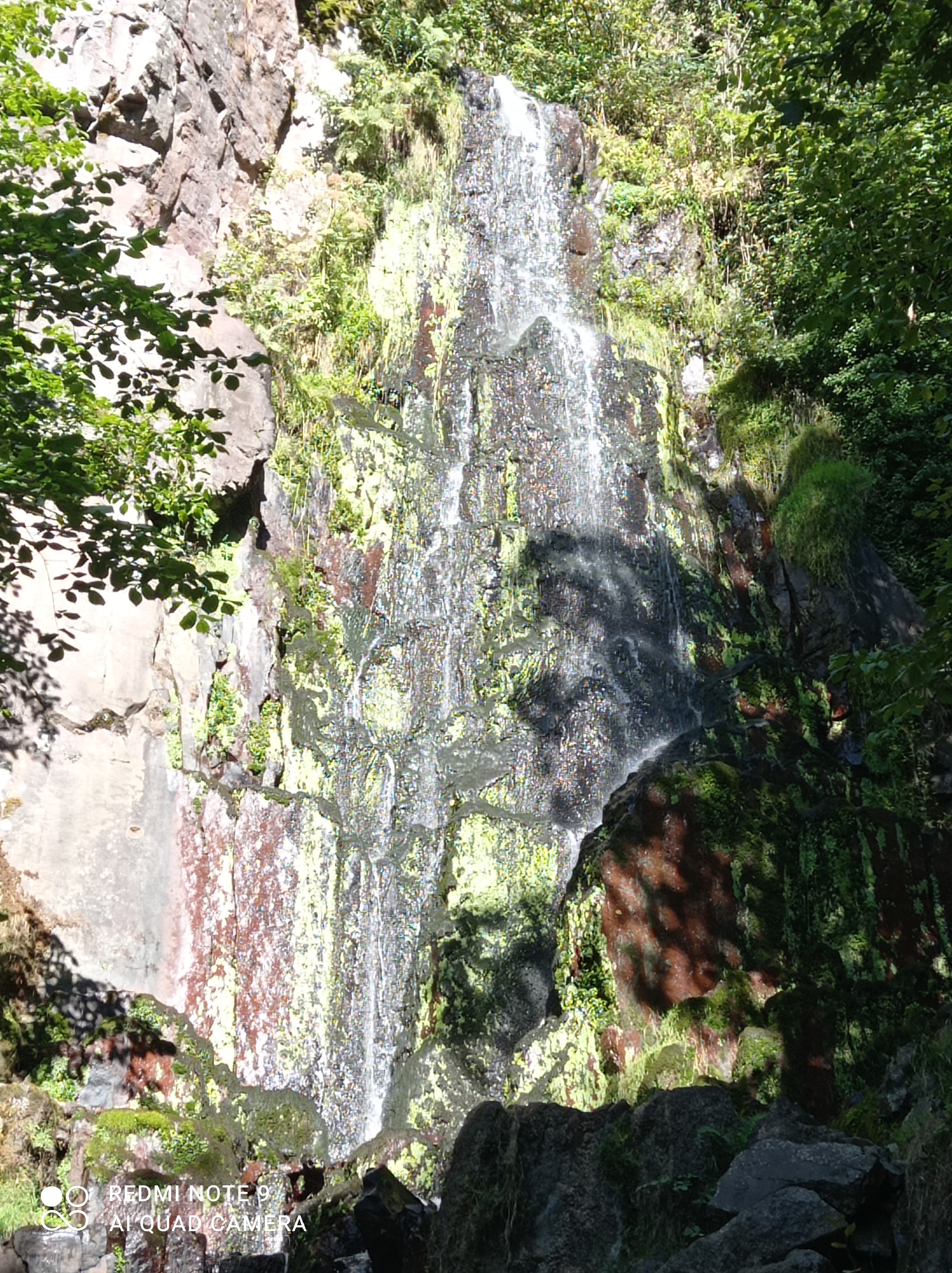 Photo n° 8 de l'avis de Florian.u fait le 25/09/2023 à 13:11