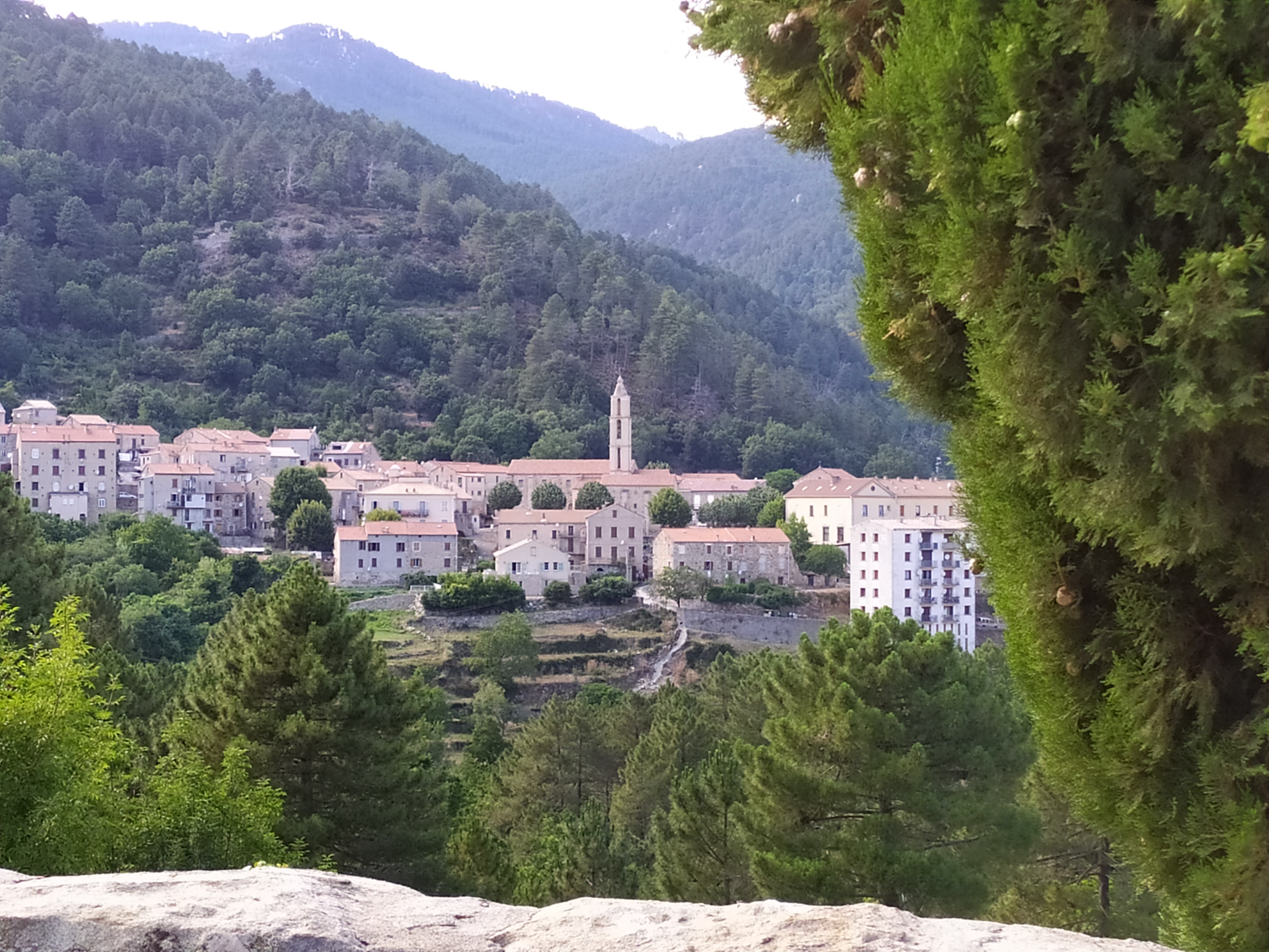 Photo n° 5 de l'avis de catherine.o fait le 20/07/2019 à 19:16