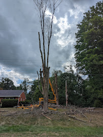 Turf Commando - Photo 8 - Car repair in , Kalamazoo