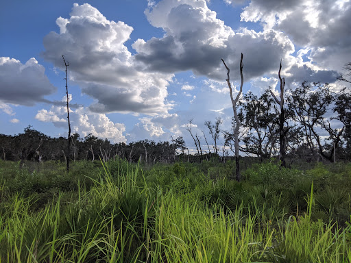 Park «Alafia River State Park», reviews and photos, 14326 S County Rd 39, Lithia, FL 33547, USA