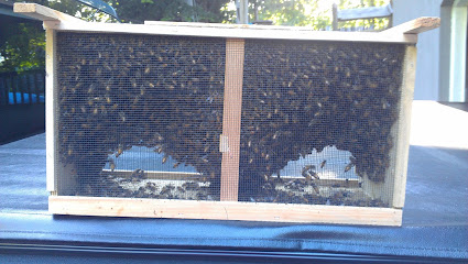 Mike's Beehives LLC