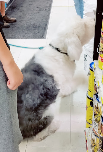 Hardware Store «Tele-Tron Ace Hardware», reviews and photos, 6604 Cermak Rd, Berwyn, IL 60402, USA