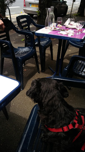 Avis sur Bar le Colbert à Nevers - Bar