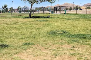 Civic Center Dog Park image