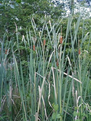 Community Center «Lake City Community Center», reviews and photos, 5471 Jonesboro Rd, Lake City, GA 30260, USA