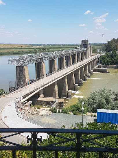 Información y opiniones sobre Bar La Querencia de Alcalá Del Río