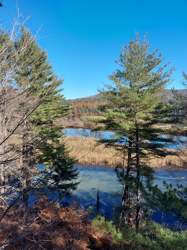 Environmental Organization «VINS Nature Center», reviews and photos, 6565 Woodstock Rd, Quechee, VT 05059, USA