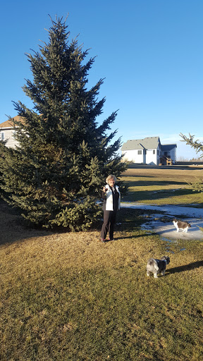 Golf Club «Cannon Golf Club», reviews and photos, 8606 295th St E, Cannon Falls, MN 55009, USA