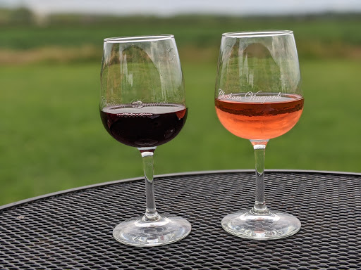 Vineyard «Chatham Vineyards & Winery», reviews and photos, 9232 Chatham Rd, Machipongo, VA 23405, USA