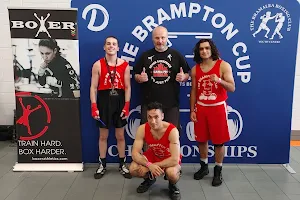 Guelph MMA image