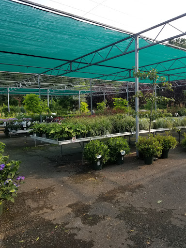 Garden Center «Blooms at Belle Mead», reviews and photos, 1980 US-206, Belle Mead, NJ 08502, USA