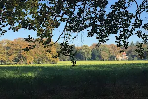 Goois Natuurreservaat Bikbergen image