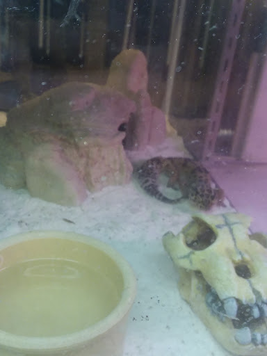 Tropical Fish Store «Monfort Aquarium & Pet», reviews and photos, 6520 Colerain Ave, Cincinnati, OH 45239, USA