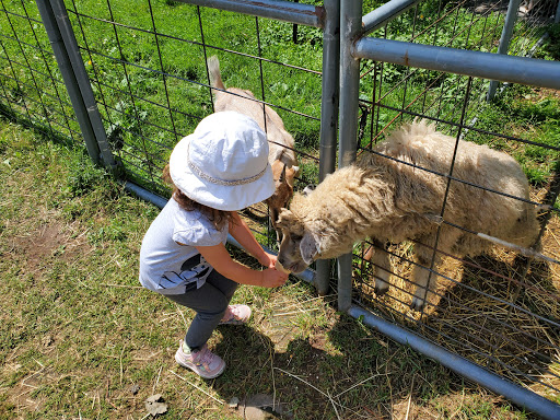 Zoo «The Petting Zoo at Breezeway Farm», reviews and photos, 161 Anawana Lake Road, Monticello, NY 12701, USA