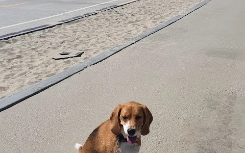Rosie's Dog Beach image