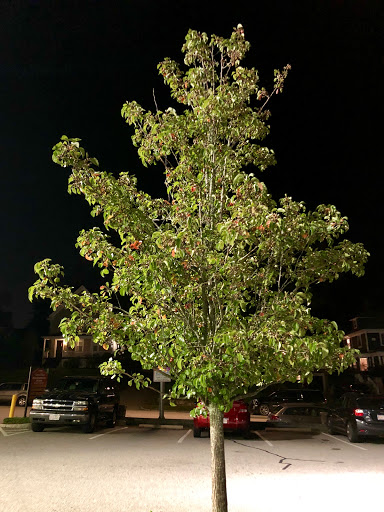 Book Store «Wellesley Books», reviews and photos, 82 Central St, Wellesley, MA 02482, USA