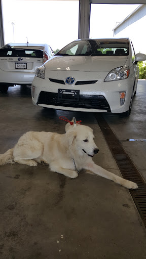 Toyota Dealer «Toyota of Muscatine», reviews and photos, 3000 IA-38, Muscatine, IA 52761, USA