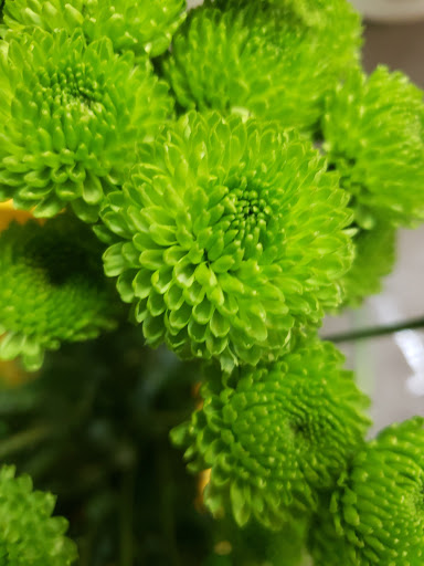 Florist «Treasures Remembered Florist», reviews and photos, 600 W Locust St, Princeton, KY 42445, USA