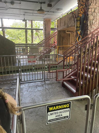 Roller Coaster «Cheetah Hunt», reviews and photos, 10165 N Malcolm McKinley Dr, Tampa, FL 33612, USA