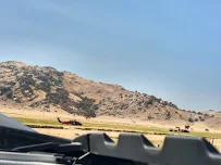 Central California Cartage Co - Car repair in Visalia, CA, Visalia - Rated 4.7/5