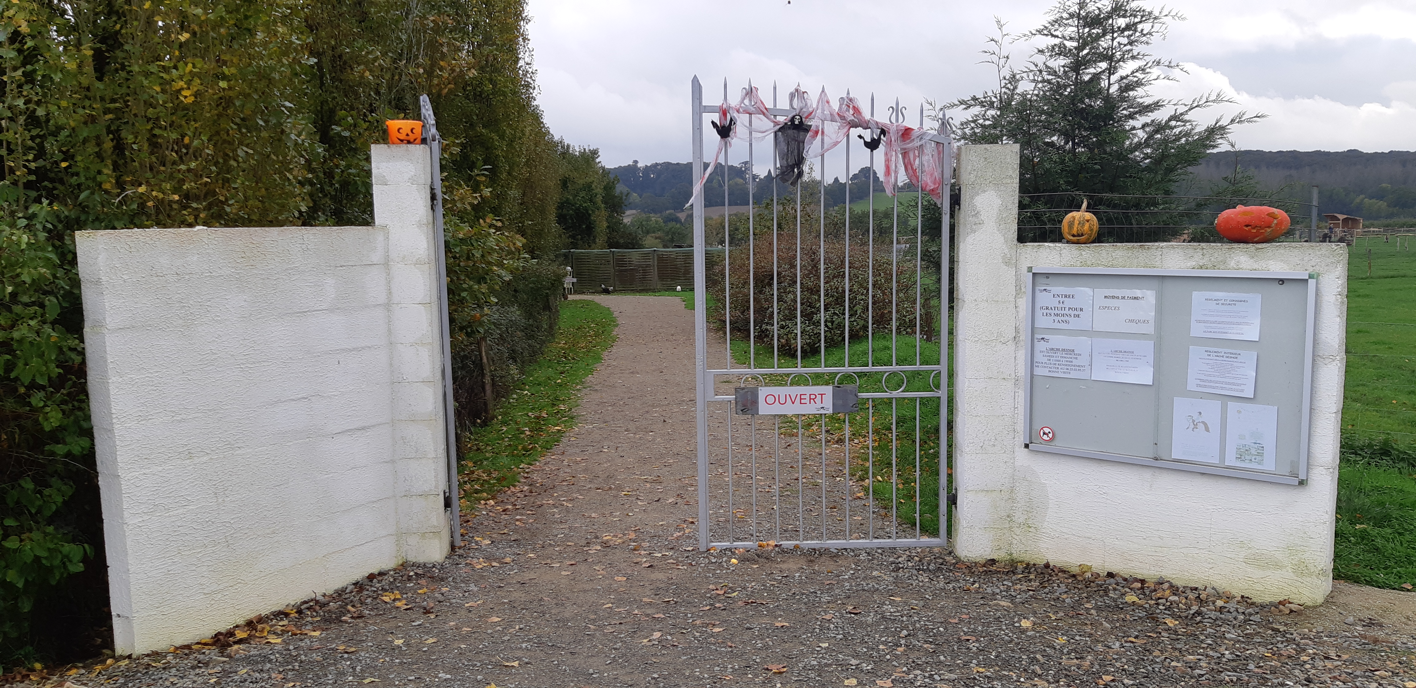 Photo n° 45 de l'avis de Yannick.a fait le 27/10/2019 à 14:17