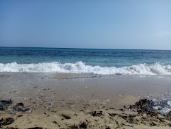 Plage Radisson, Hammamet'in fotoğrafı imkanlar alanı