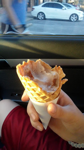 Ice Cream Shop «The Arctic Scoop», reviews and photos, 841 S Hurstbourne Pkwy, Louisville, KY 40222, USA