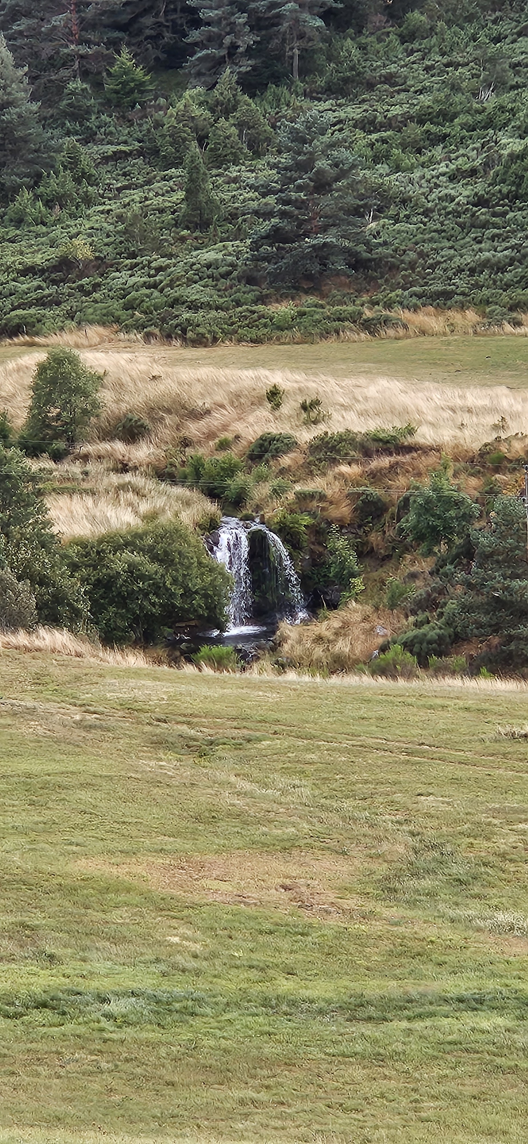 Photo n° 6 de l'avis de Gaël. fait le 30/08/2023 à 22:48