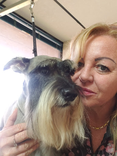 Pet Groomer «Uptown Pet Salon & Daycare», reviews and photos, 4581 13th St, St Cloud, FL 34769, USA