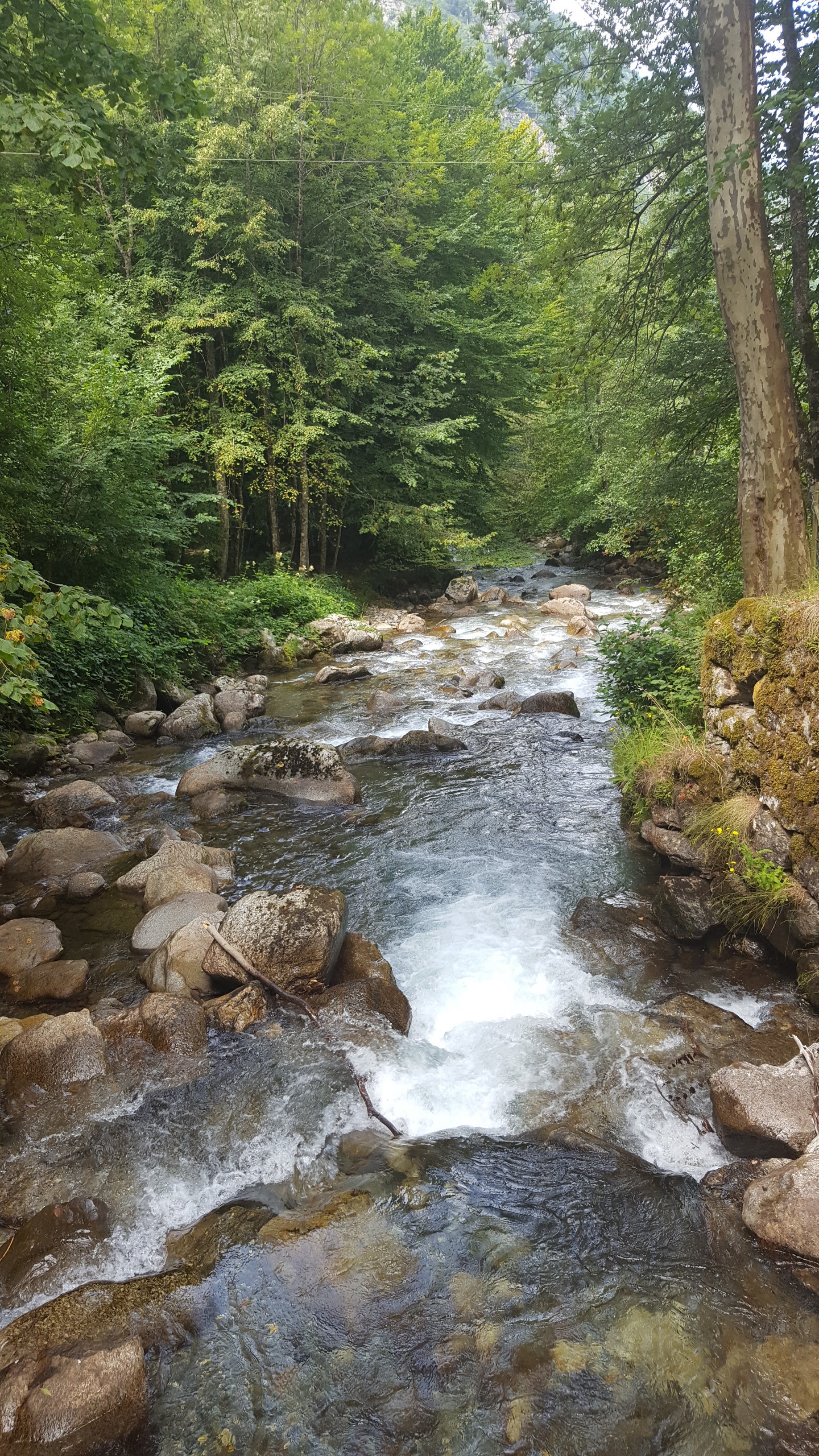 Photo n° 4 de l'avis de Laurence.o fait le 09/08/2018 à 23:04