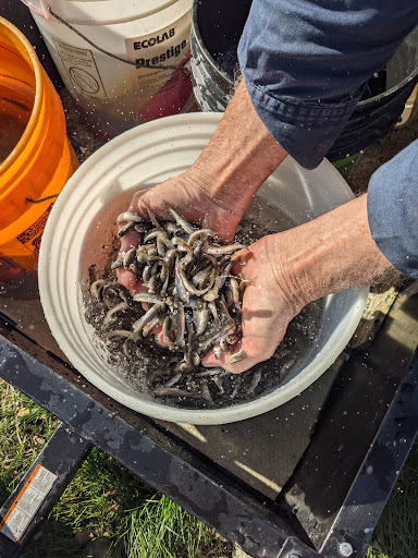 Fish Farm «Imlay City Fish Farms Inc», reviews and photos, 1442 N Summers Rd, Imlay City, MI 48444, USA